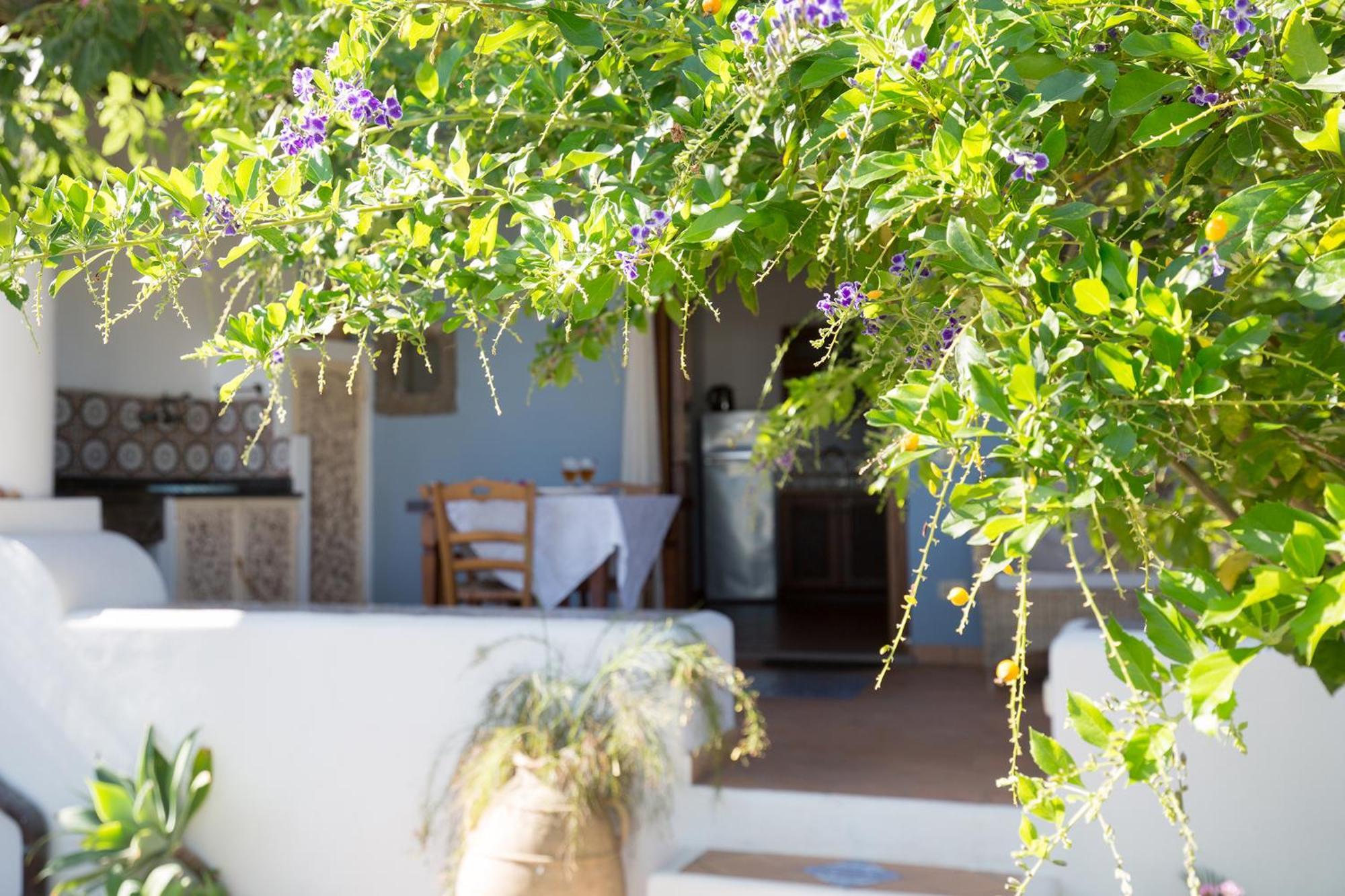 Villa Agrumeto Lipari  Dış mekan fotoğraf